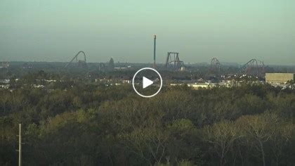 earthcam tampa|busch gardens tampa live webcam.